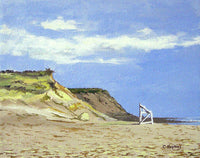 Coast Guard Beach Eastham Cape Cod Massachusetts - Art Print