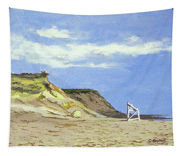 Coast Guard Beach Eastham Cape Cod Massachusetts - Tapestry