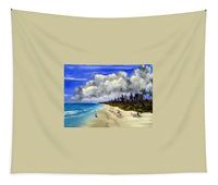 Naples Beach Naples Florida - Tapestry