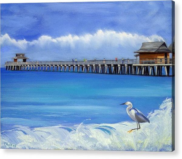 Naples Pier Naples Florida - Acrylic Print