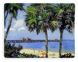 Naples Pier Naples Florida - Blanket