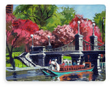 Boston Public Gardens Boston Massachusetts - Blanket