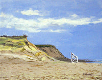 Coast Guard Beach Eastham Cape Cod Massachusetts - Art Print