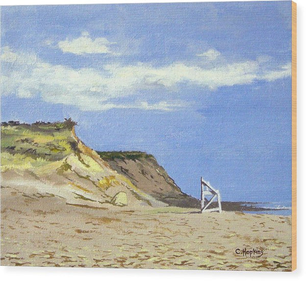 Coast Guard Beach Eastham Cape Cod Massachusetts - Wood Print