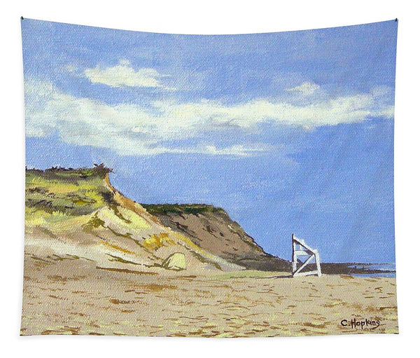 Coast Guard Beach Eastham Cape Cod Massachusetts - Tapestry