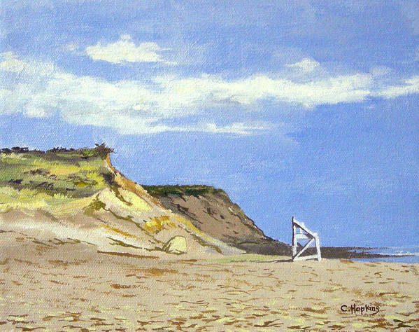 Coast Guard Beach Eastham Cape Cod Massachusetts - Art Print