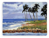 Gordons Pass Naples Florida - Blanket