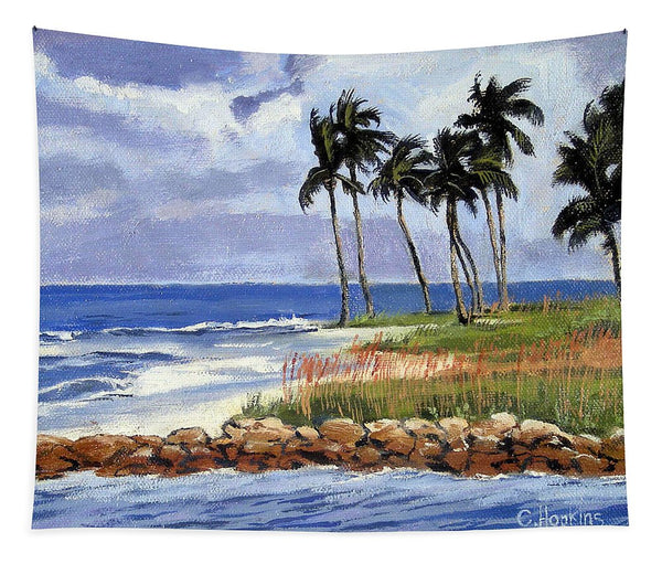 Gordons Pass Naples Florida - Tapestry