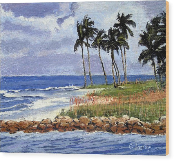 Gordons Pass Naples Florida - Wood Print