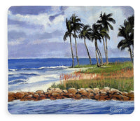 Gordons Pass Naples Florida - Blanket
