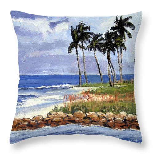 Gordons Pass Naples Florida - Throw Pillow