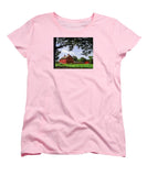 Nathan Hale Homestead Coventry Connecticut - Women's T-Shirt (Standard Fit)