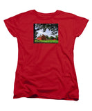 Nathan Hale Homestead Coventry Connecticut - Women's T-Shirt (Standard Fit)