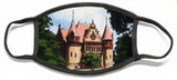 Town Hall Wellesley Massachusetts  - Face Mask