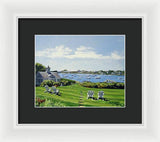 Wychmere Harbor Harwich Port Massachusetts - Framed Print